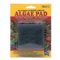 API Doc Wellfish's Hand Held Algae Pad For Glass, 1ea