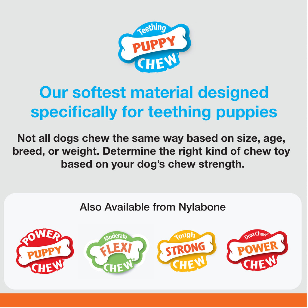 Nylabone Just for Puppies Teething Chew Classic Bone Chicken, 1ea/SMall/Regular  Up To 25 Ibs. 1 ct