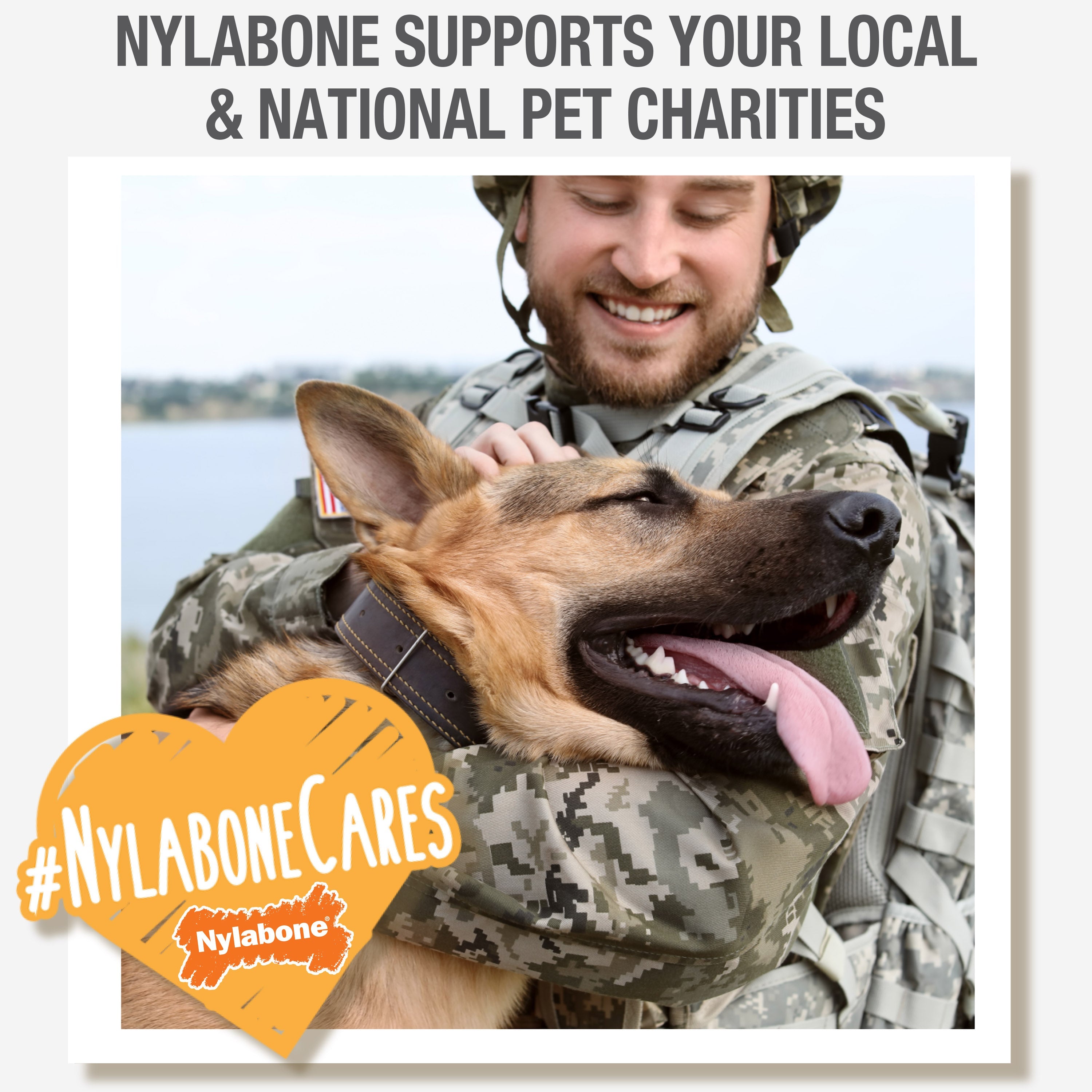Nylabone Healthy Edibles AllNatural Long Lasting Chew Treats Bacon, 1ea/SMall/Regular  Up To 25 Ibs. 1 ct