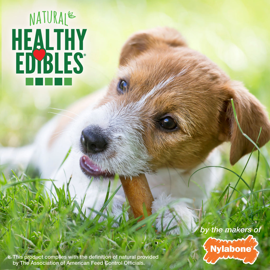 Nylabone Healthy Edibles AllNatural Long Lasting Chew Treats Bacon, 1ea/SMall/Regular  Up To 25 Ibs. 3 ct