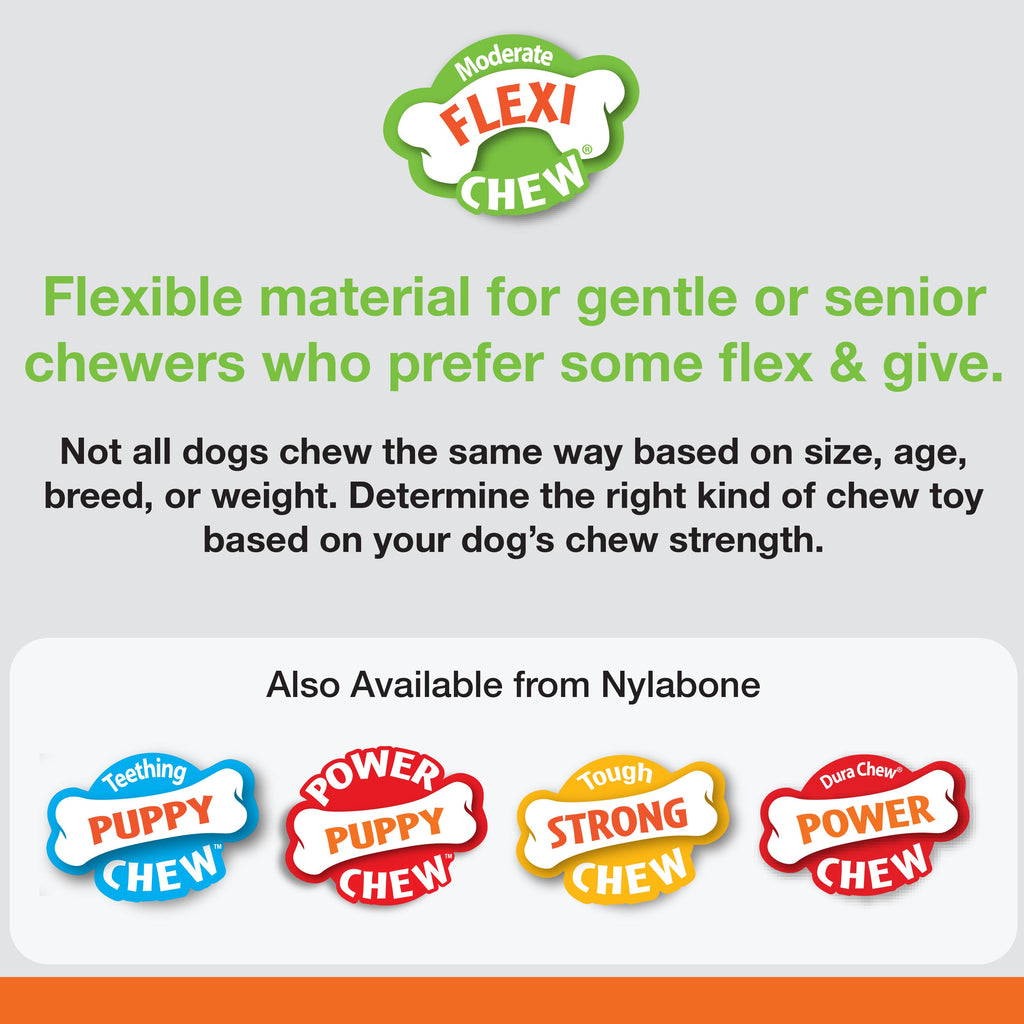 Nylabone Moderate Chew Textured Dog Dental Chew Toy Chicken, Blue, 1ea/XS/Petite  Up To 15 Lbs. 1 ct