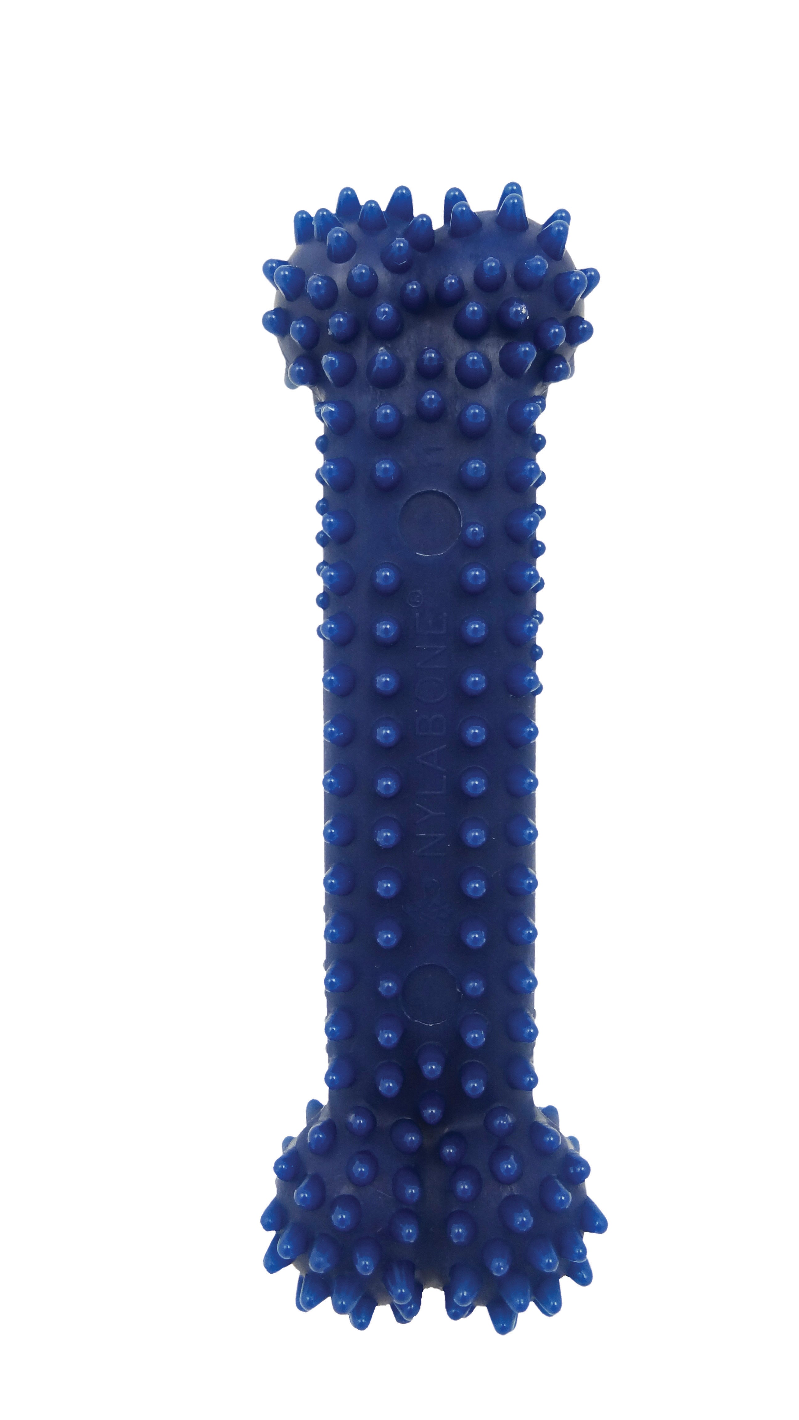 Nylabone Moderate Chew Textured Dog Dental Chew Toy Chicken, Blue, 1ea/XS/Petite  Up To 15 Lbs. 1 ct