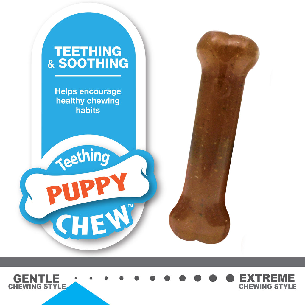 Nylabone Puppy Starter Kit Dog Chew Toys  Treat Chicken  Bacon, 1ea/SMall/Regular  Up To 25 Ibs. 3 ct
