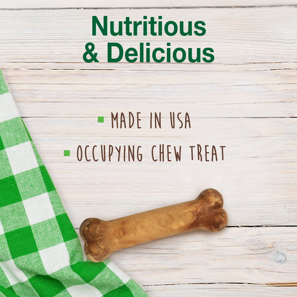 Nylabone Healthy Edibles AllNatural Long Lasting Chew Treats Bacon, 1ea/XS/Petite  Up To 15 Lbs. 2 ct