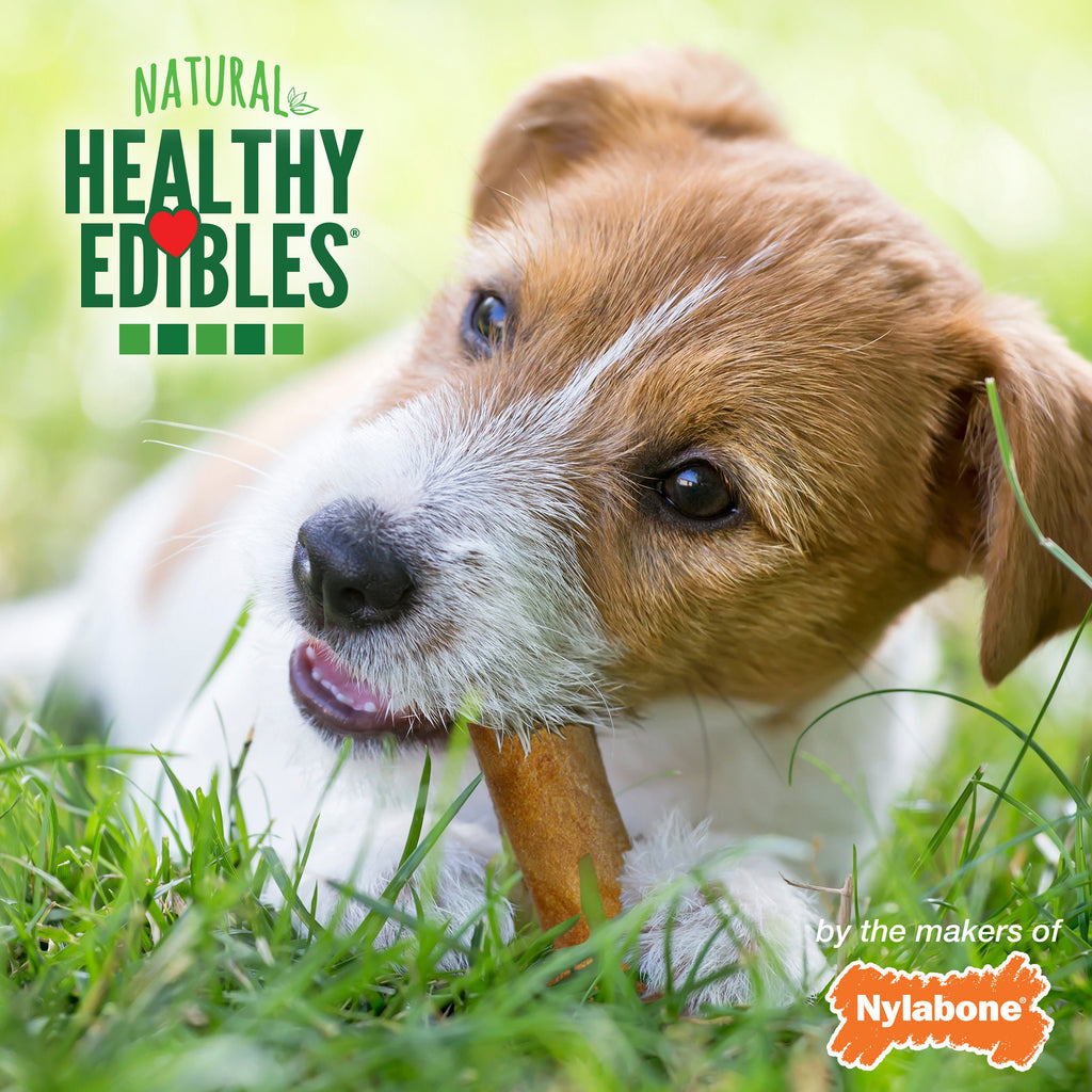 Nylabone Healthy Edibles AllNatural Long Lasting Chew Treats Variety Pack 3 count, 1ea/SMall/Regular  Up To 25 lb