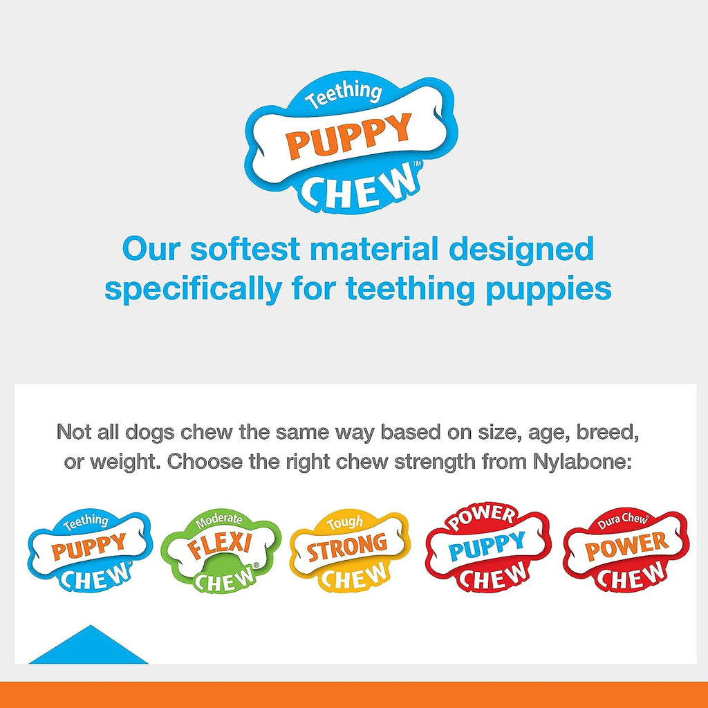 Nylabone Just for Puppies Teething Chew Toy Keys Bacon, 1ea/XS/Petite  Up To 15 Lbs. 1 ct