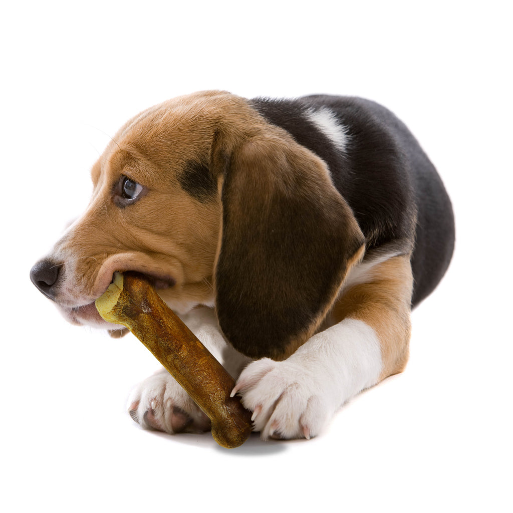 Nylabone Healthy Edibles AllNatural Long Lasting Chew Treats 2 count, 1ea/Wolf  Up To 35 lb