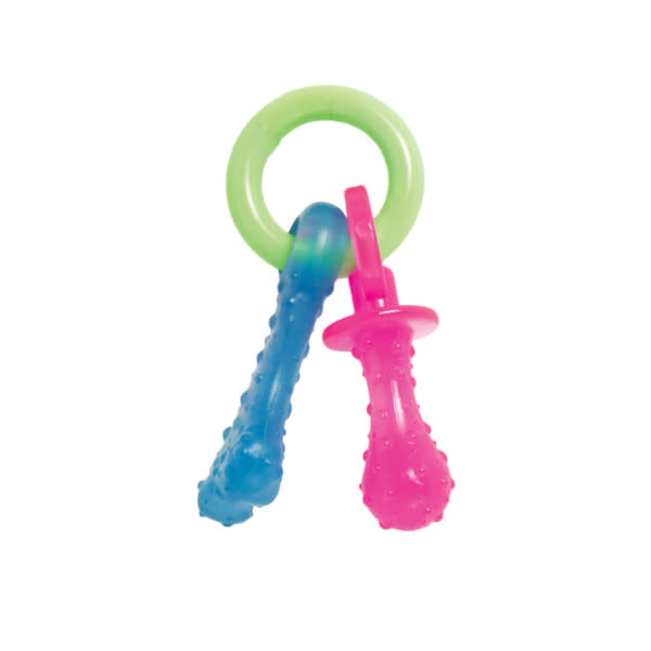 Nylabone Puppy Pacifier Teething Toy Bacon, 1ea/SMall/Regular  Up To 25 Ibs. 1 ct