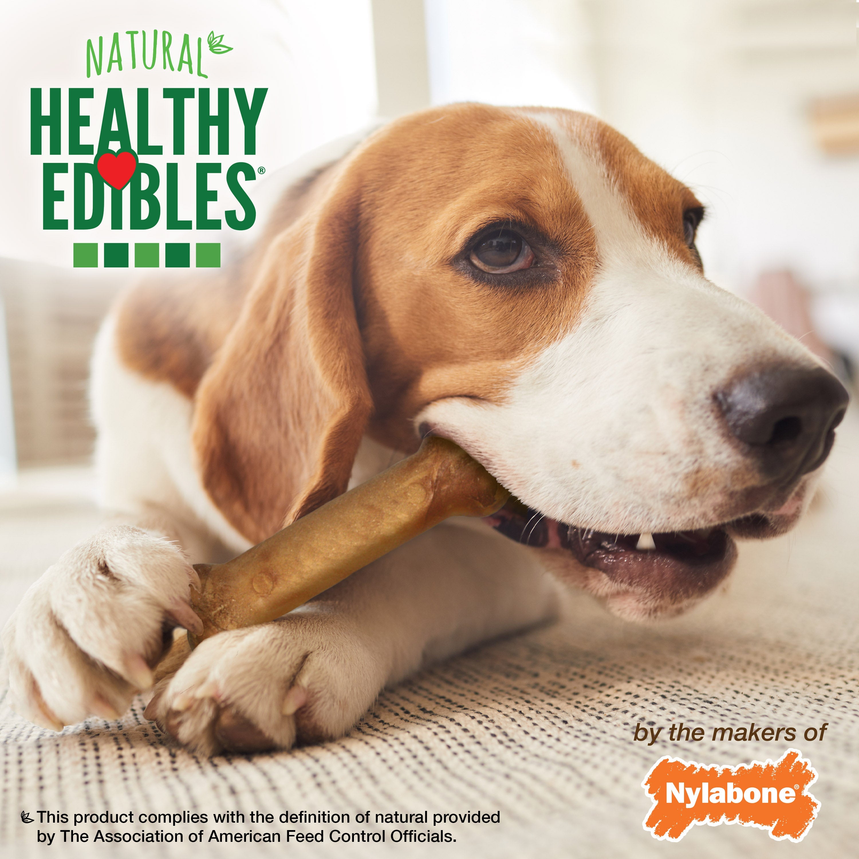 Nylabone Healthy Edibles AllNatural Long Lasting Chew Treats Chicken, 1ea/Medium/Wolf  Up To 35 Lbs. 2 ct