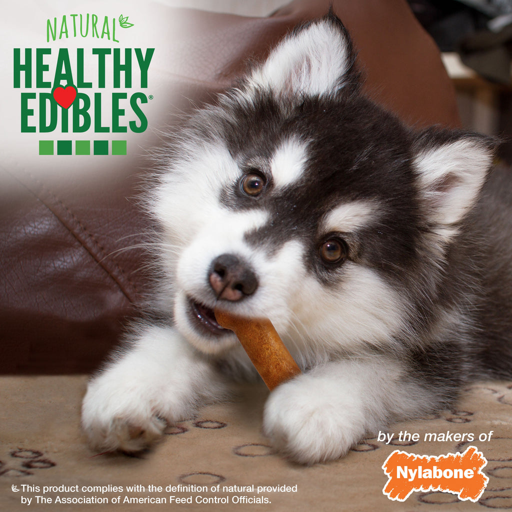 Nylabone Healthy Edibles AllNatural Long Lasting Puppy Chew Treats Turkey  Sweet Potato, 1ea/SMall/Regular  Up To 25 Ibs. 3 ct