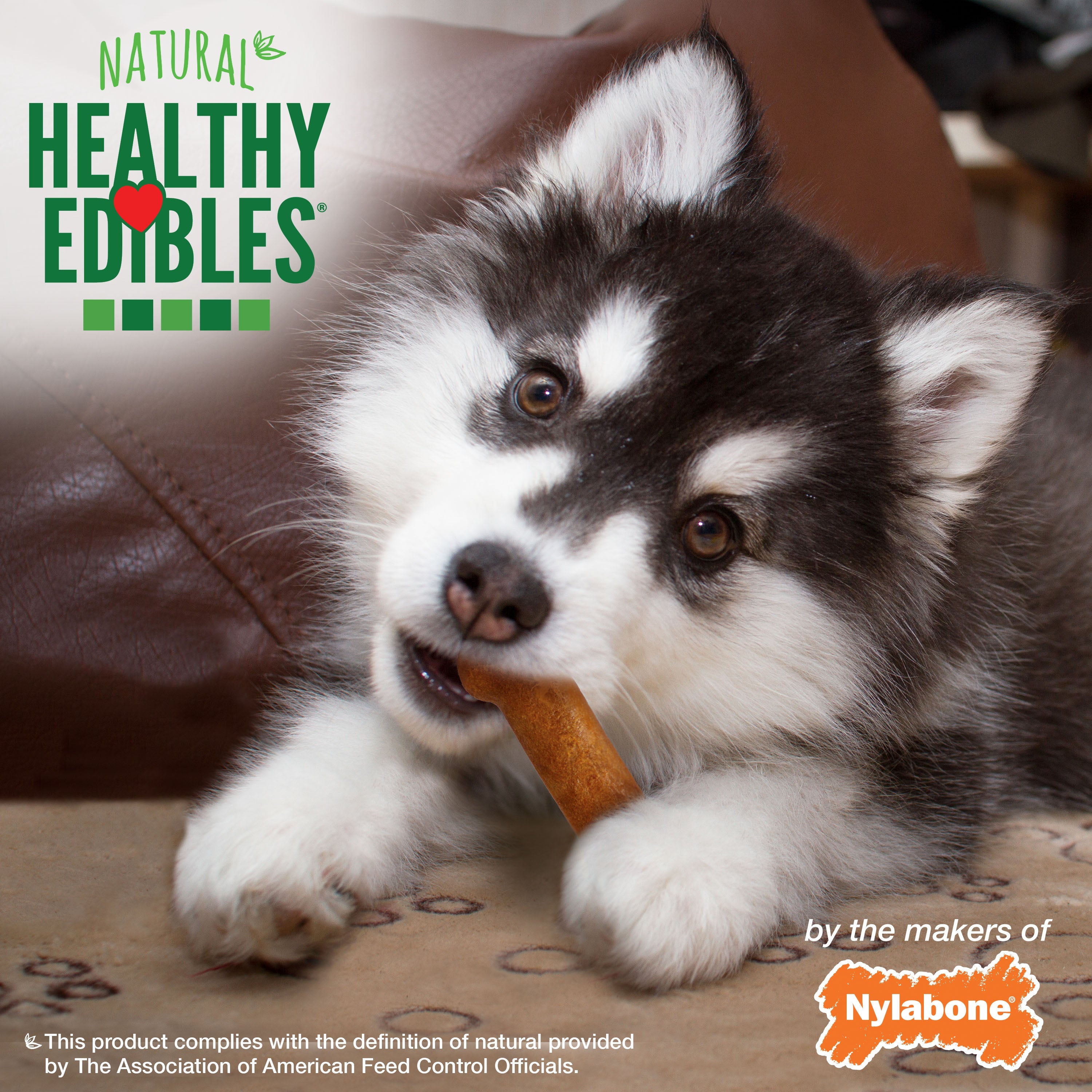 Nylabone Healthy Edibles AllNatural Long Lasting Puppy Chew Treats Turkey  Sweet Potato, 1ea/SMall/Regular  Up To 25 Ibs. 3 ct