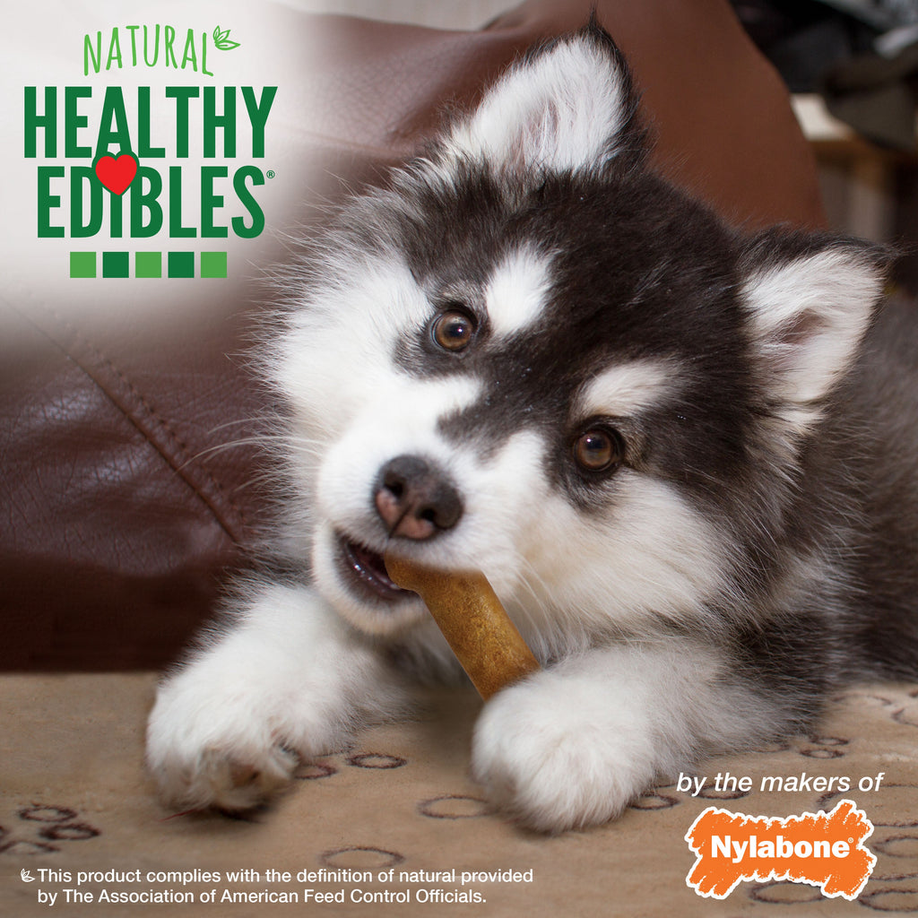 Nylabone Healthy Edibles AllNatural Long Lasting Puppy Chew Treats Lamb  Apple, 1ea/XS/Petite  Up To 15 Lbs. 4 ct