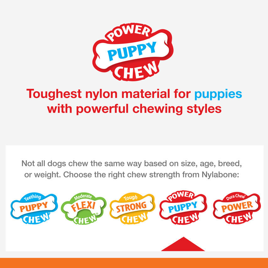 Nylabone Puppy Power Chew Puppy Teething Rings Bacon, 1ea/SMall/Regular  Up To 25 Ibs. 1 ct
