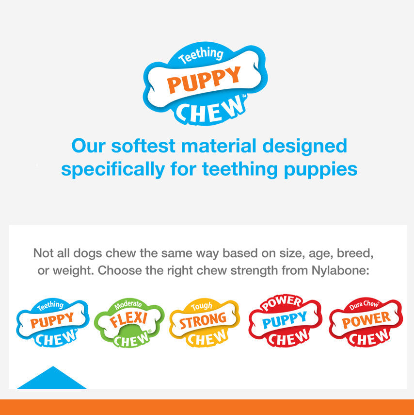 Nylabone Just for Puppies Double Action Bone Puppy Dog Teething Chew Toy Bacon, 1ea/SMall/Regular  Up To 25 Ibs. 1 ct