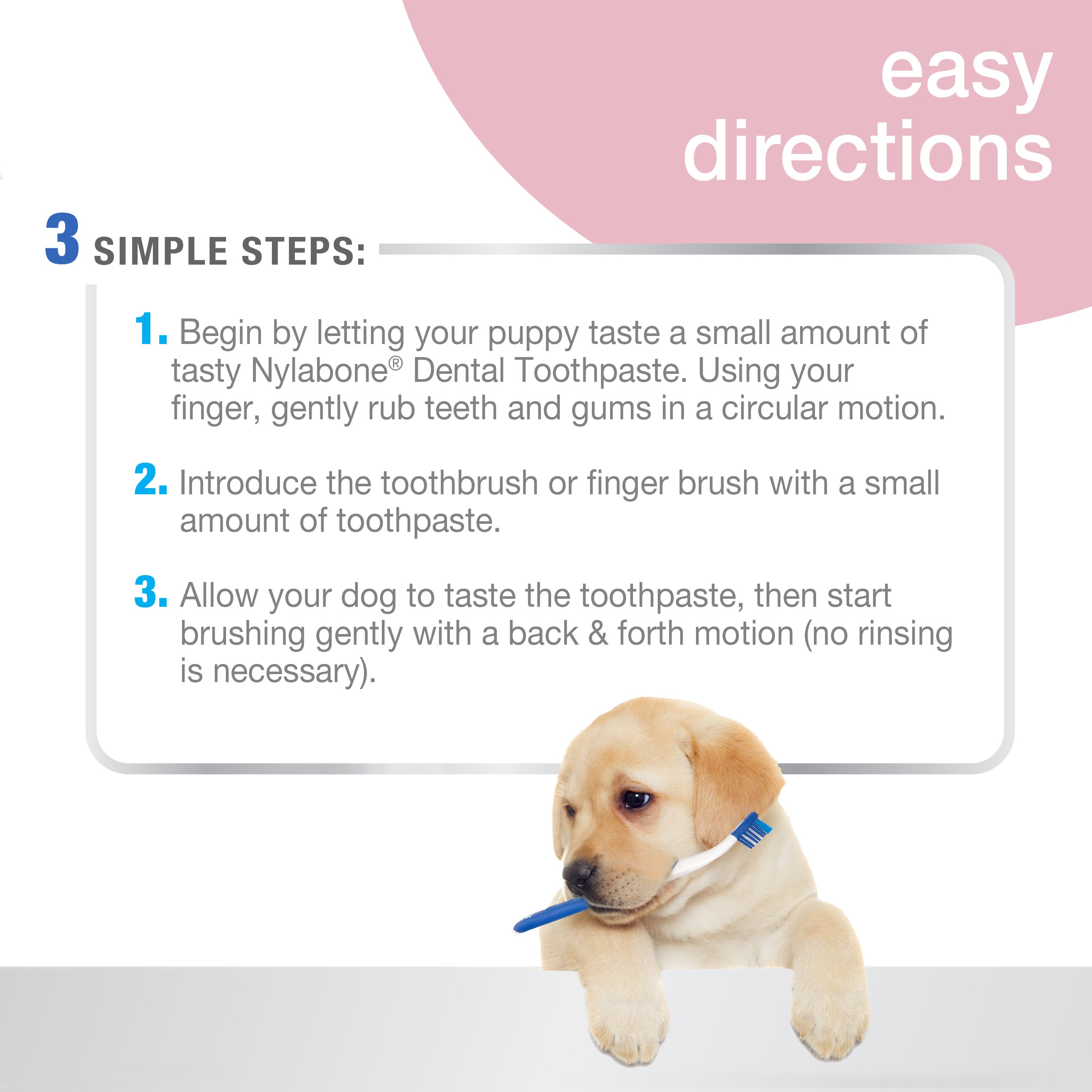 Nylabone Advanced Oral Care Puppy Dental Kit Original, 1ea/2.5 oz 3 ct