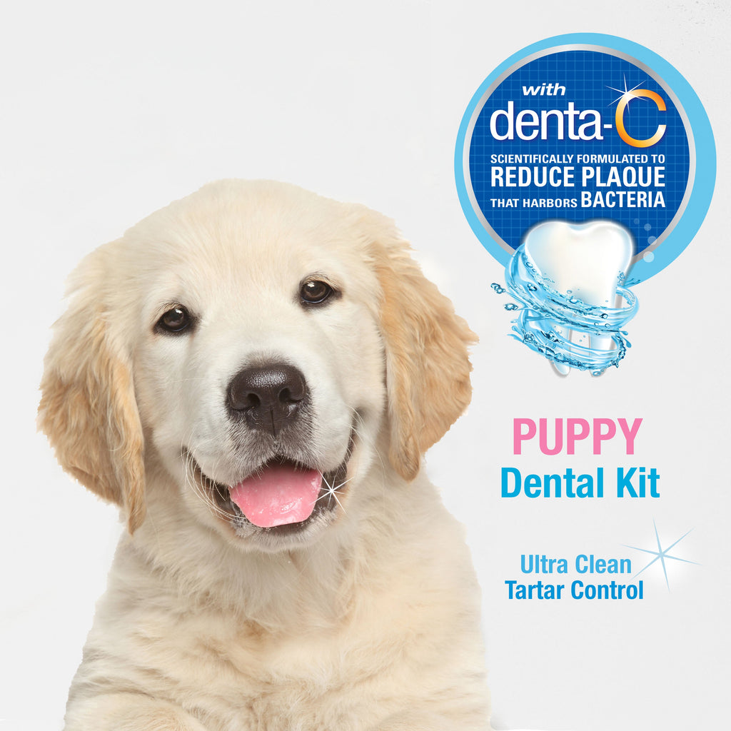 Nylabone Advanced Oral Care Puppy Dental Kit Original, 1ea/2.5 oz 3 ct