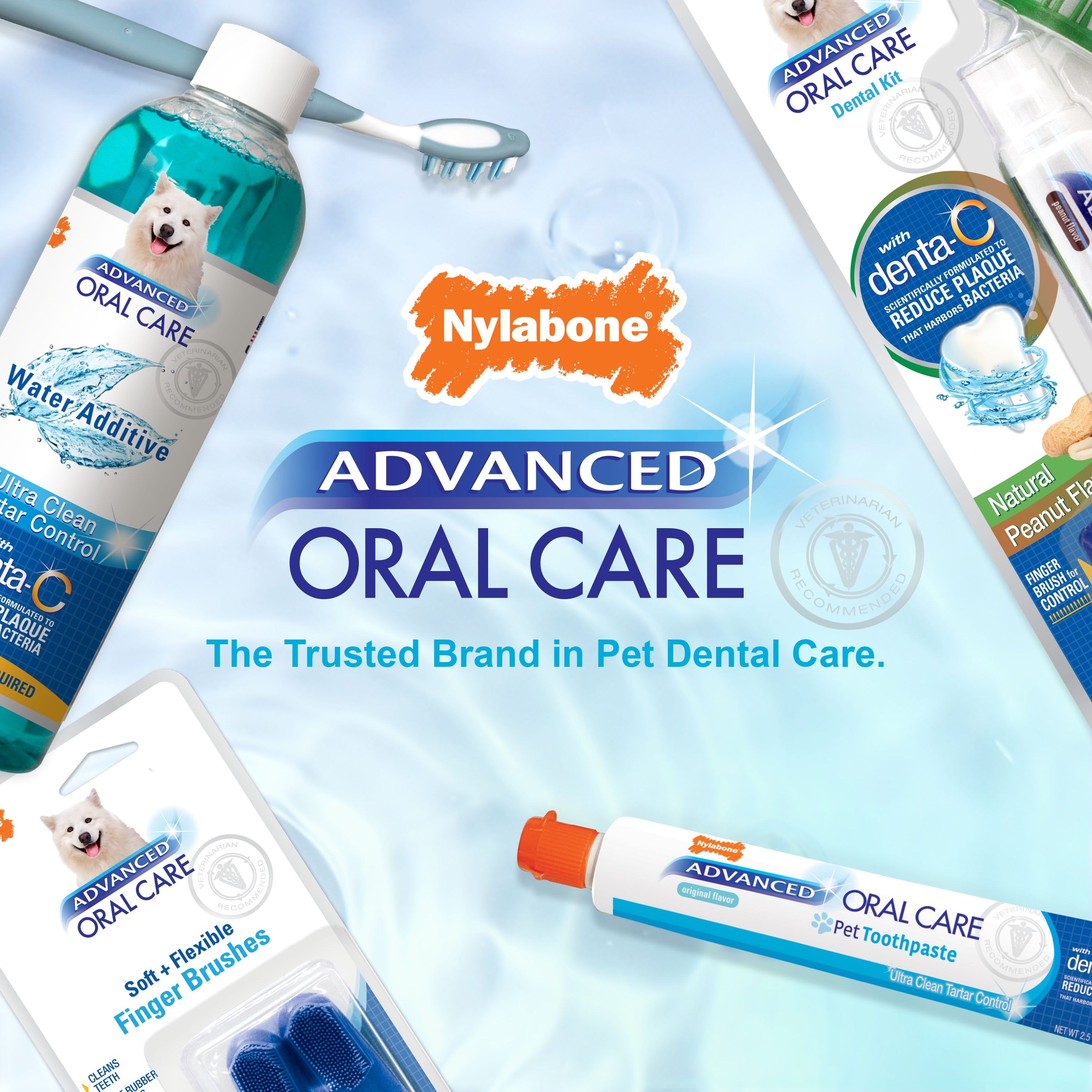 Nylabone Advanced Oral Care Puppy Dental Kit Original, 1ea/2.5 oz 3 ct