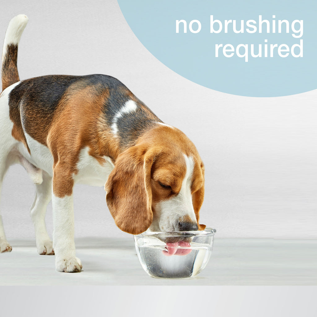 Nylabone Advanced Oral Care Water Additive for Dogs Original, 1ea/32 oz 1 ct