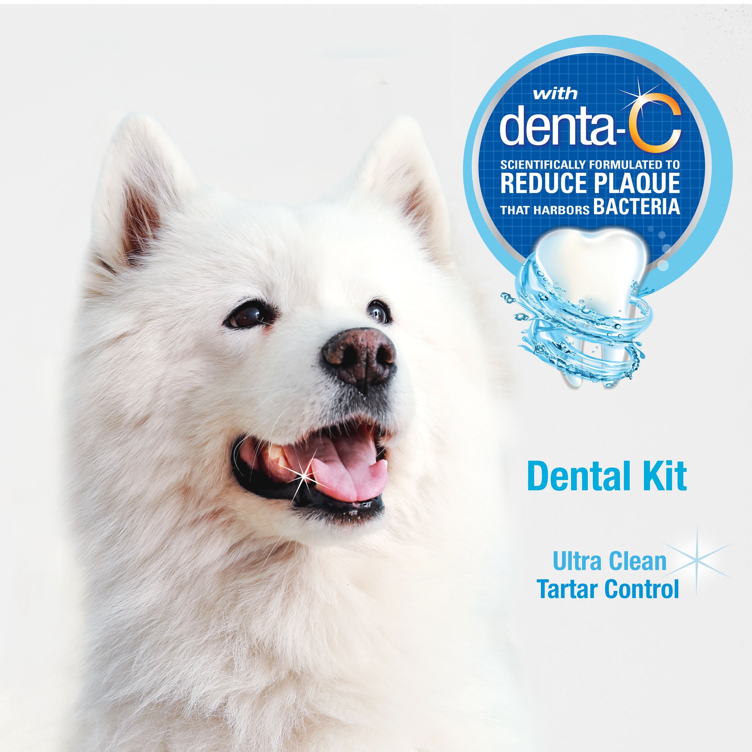 Nylabone Advanced Oral Care Dog Dental Kit Original, 1ea/2.5 oz 3 ct