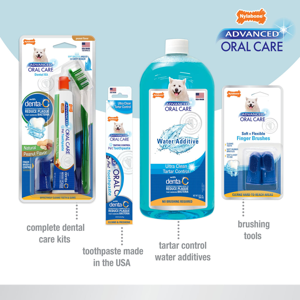 Nylabone Advanced Oral Care Dog Dental Kit Original, 1ea/2.5 oz 3 ct