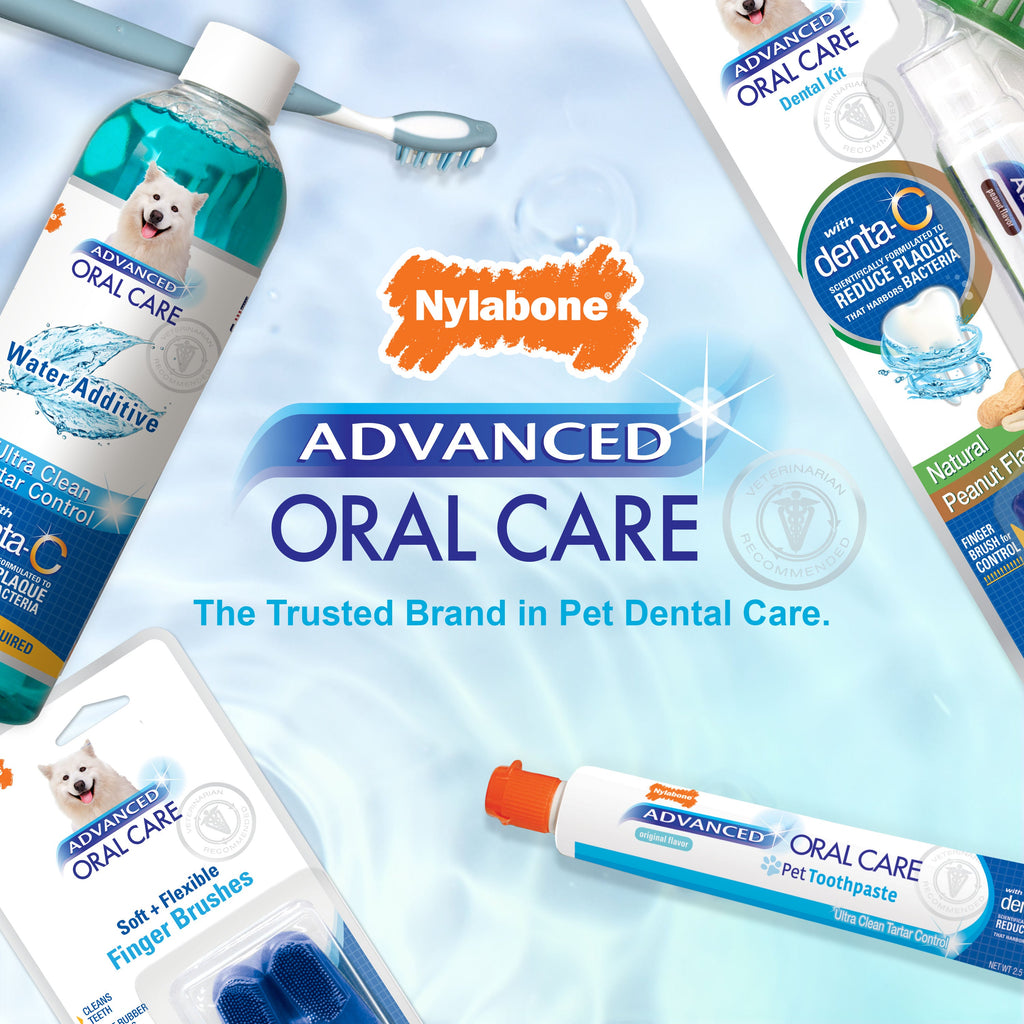 Nylabone Advanced Oral Care Dog Dental Kit Original, 1ea/2.5 oz 3 ct