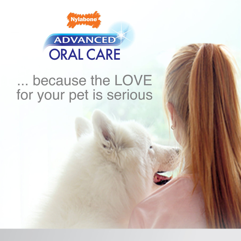 Nylabone Advanced Oral Care Dog Dental Kit Original, 1ea/2.5 oz 3 ct
