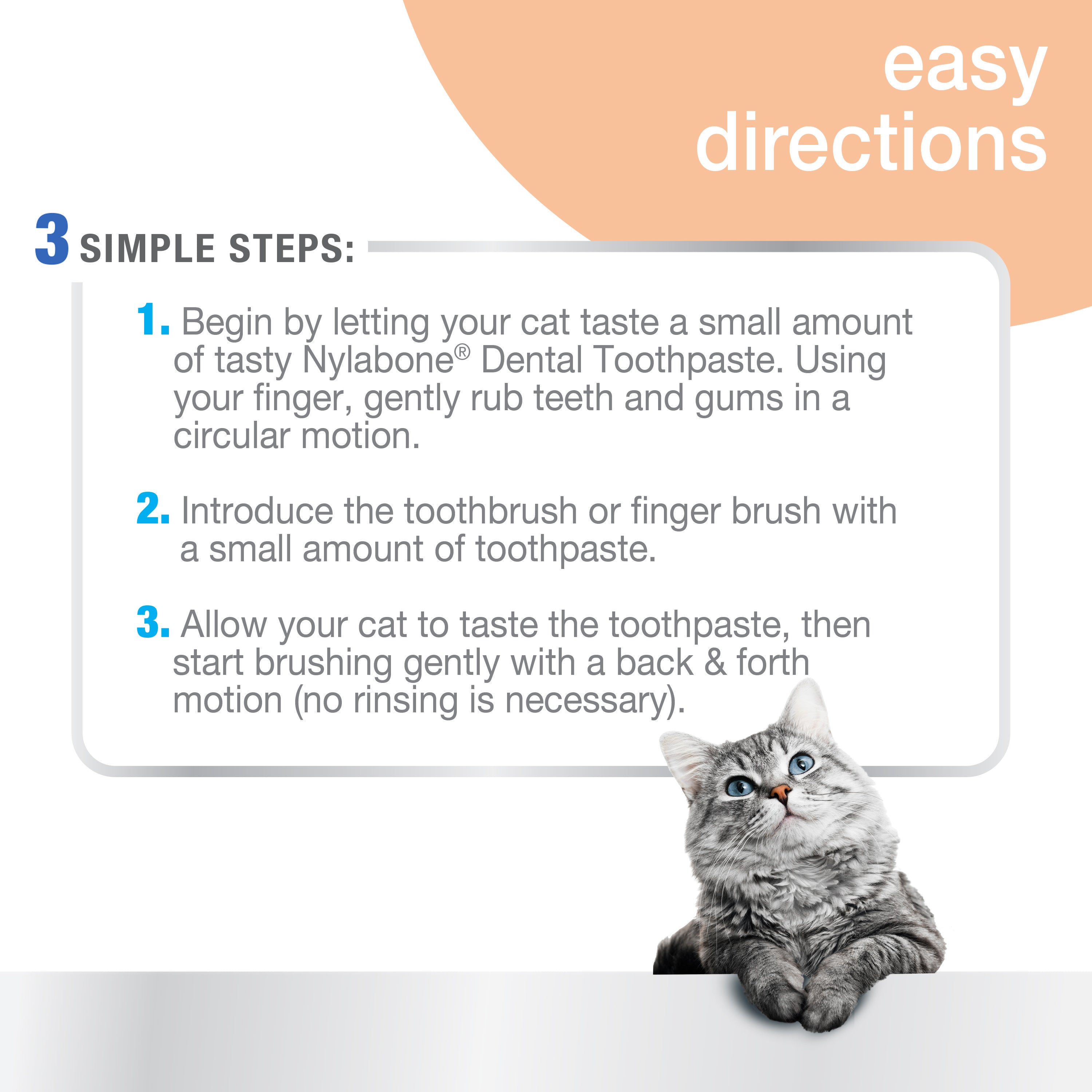 Nylabone Advanced Oral Care Cat Dental Kit Original, 1ea/2.5 oz 3 ct