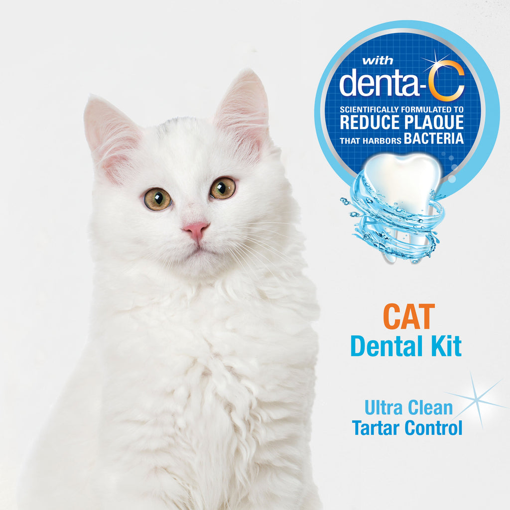 Nylabone Advanced Oral Care Cat Dental Kit Original, 1ea/2.5 oz 3 ct