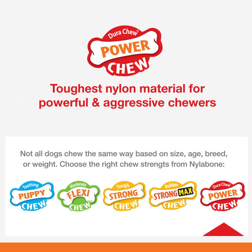 Nylabone Power Chew Bacon  Chicken Durable Dog Chew Toy Pack Bacon  Chicken, 1ea/Medium/Wolf  Up To 35 Lbs. 2 ct