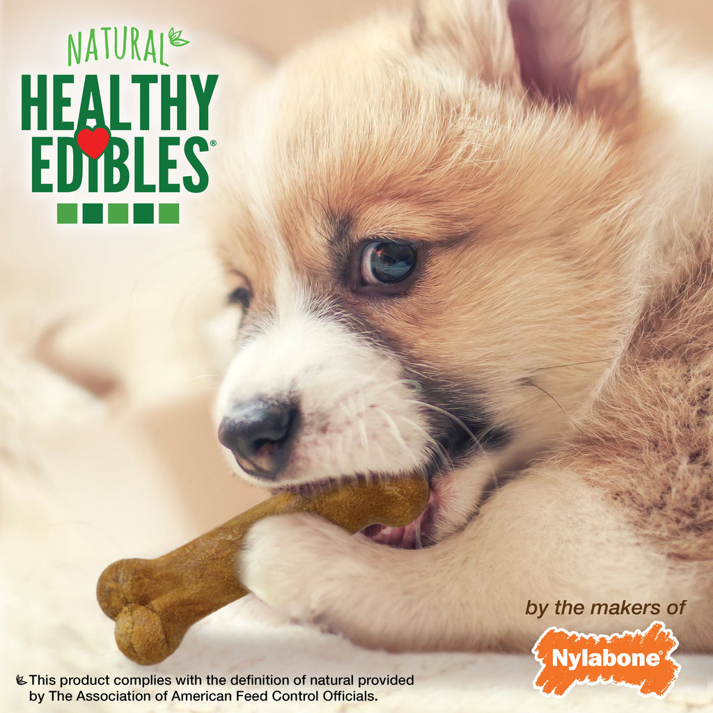 Nylabone Healthy Edibles AllNatural Long Lasting Puppy Chew Treats Lamb  Apple, 1ea/XS/Petite  Up To 15 Lbs. 8 ct