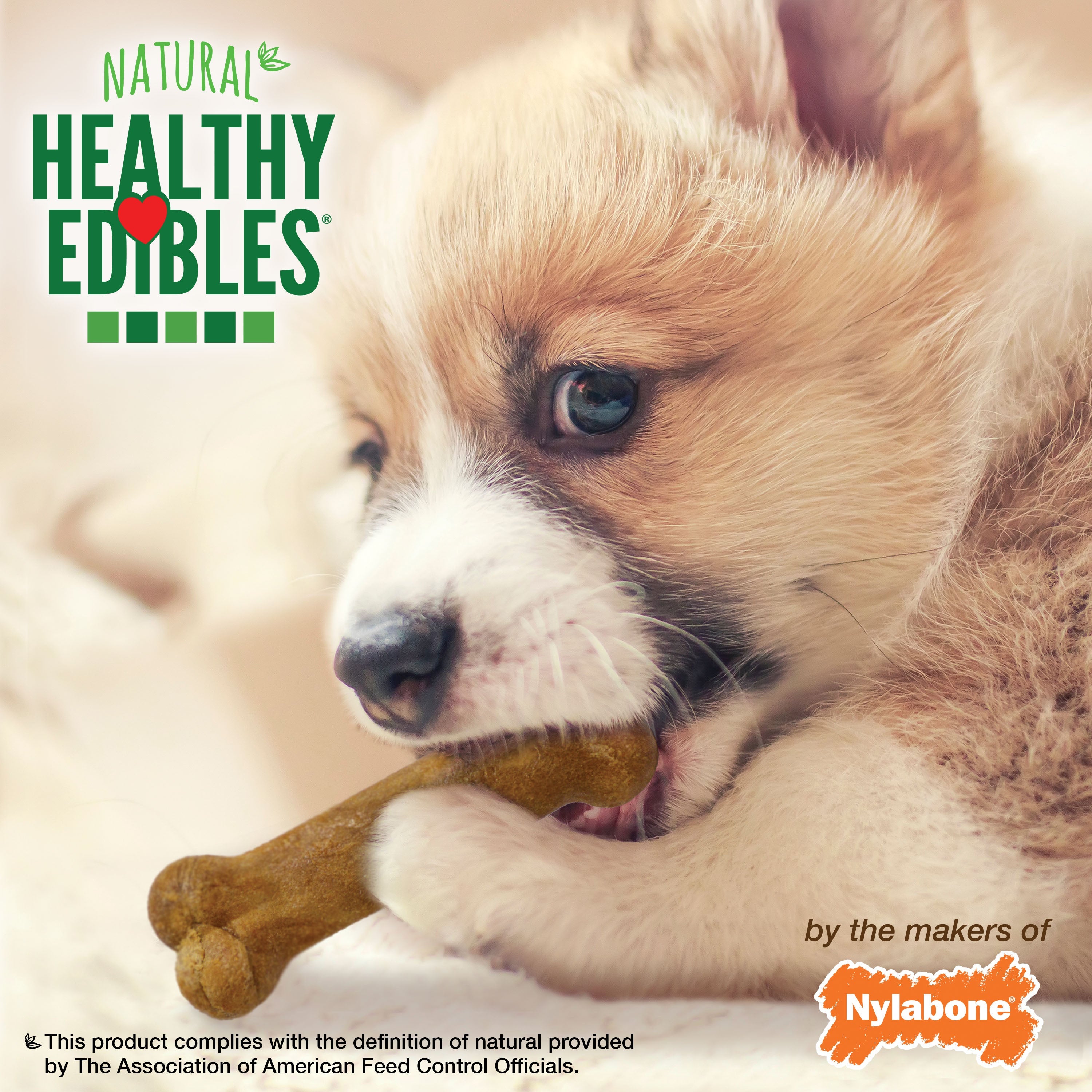 Nylabone Healthy Edibles AllNatural Long Lasting Puppy Chew Treats Lamb  Apple, 1ea/XS/Petite  Up To 15 Lbs. 8 ct