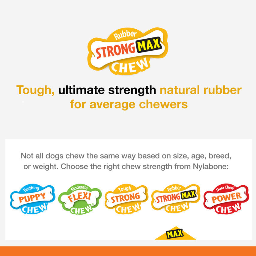 Nylabone Flavor Frenzy Strong Chew Dog Toy Bacon Cheeseburger, 1ea/SMall/Regular  Up To 25 Ibs. 1 ct