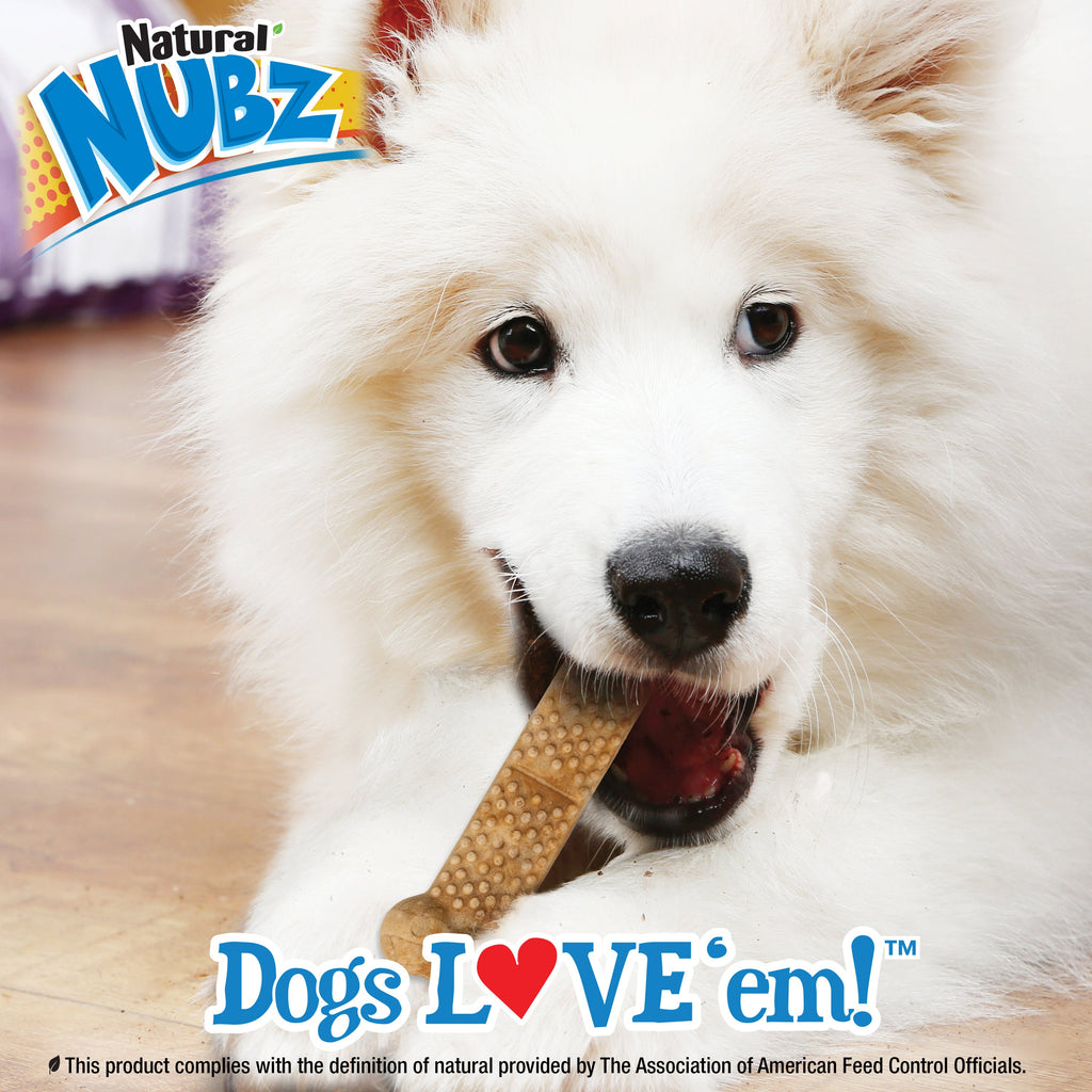 Nylabone Natural Nubz Chicken Dog Treats Chicken, 1ea/Large  30 Lbs. 2 ct