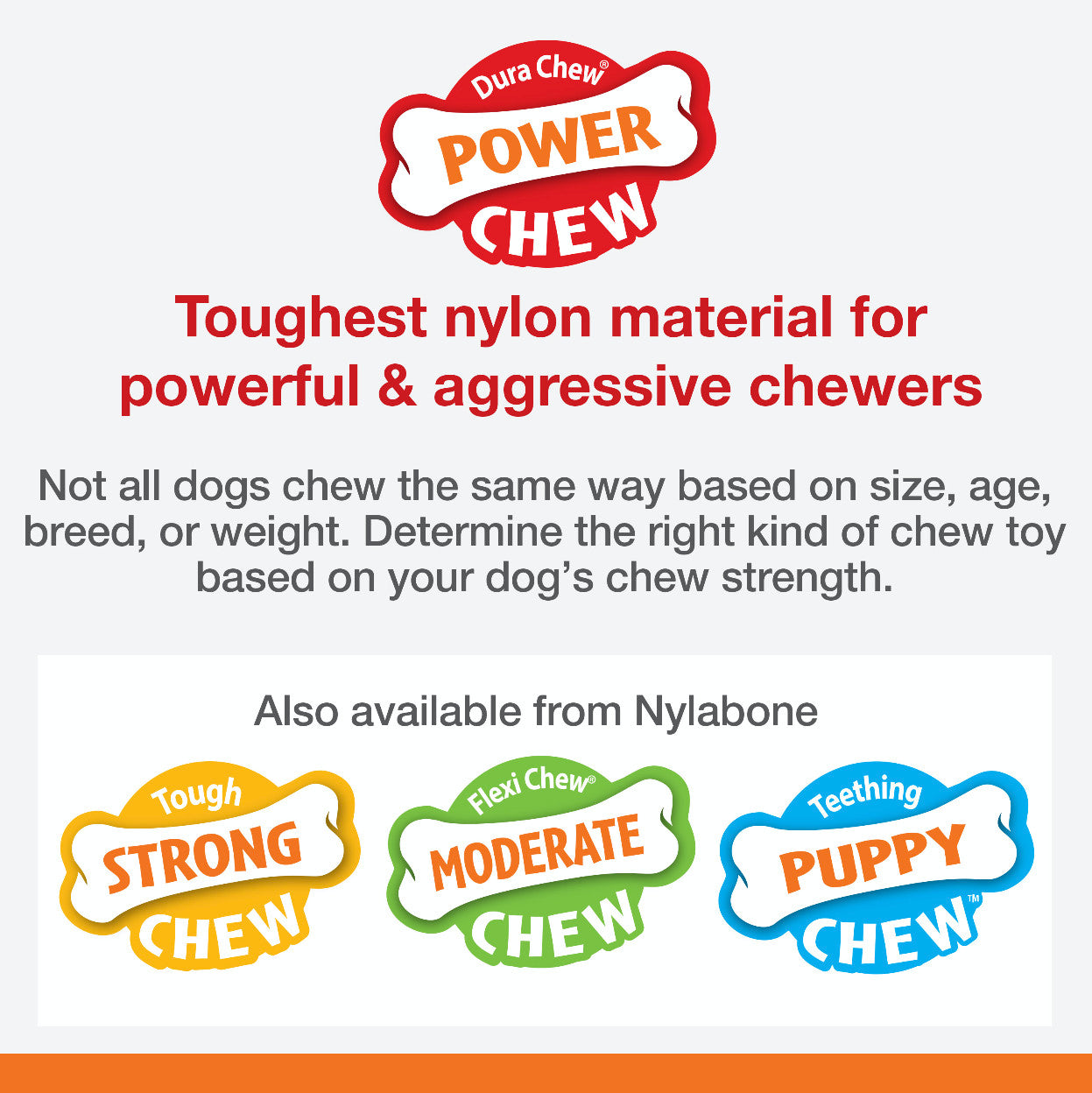 Nylabone Flavor Frenzy Power Chew Durable Dog Chew Toy Philly Cheesesteak, 1ea/XL/Souper  50 Lbs. 1 ct
