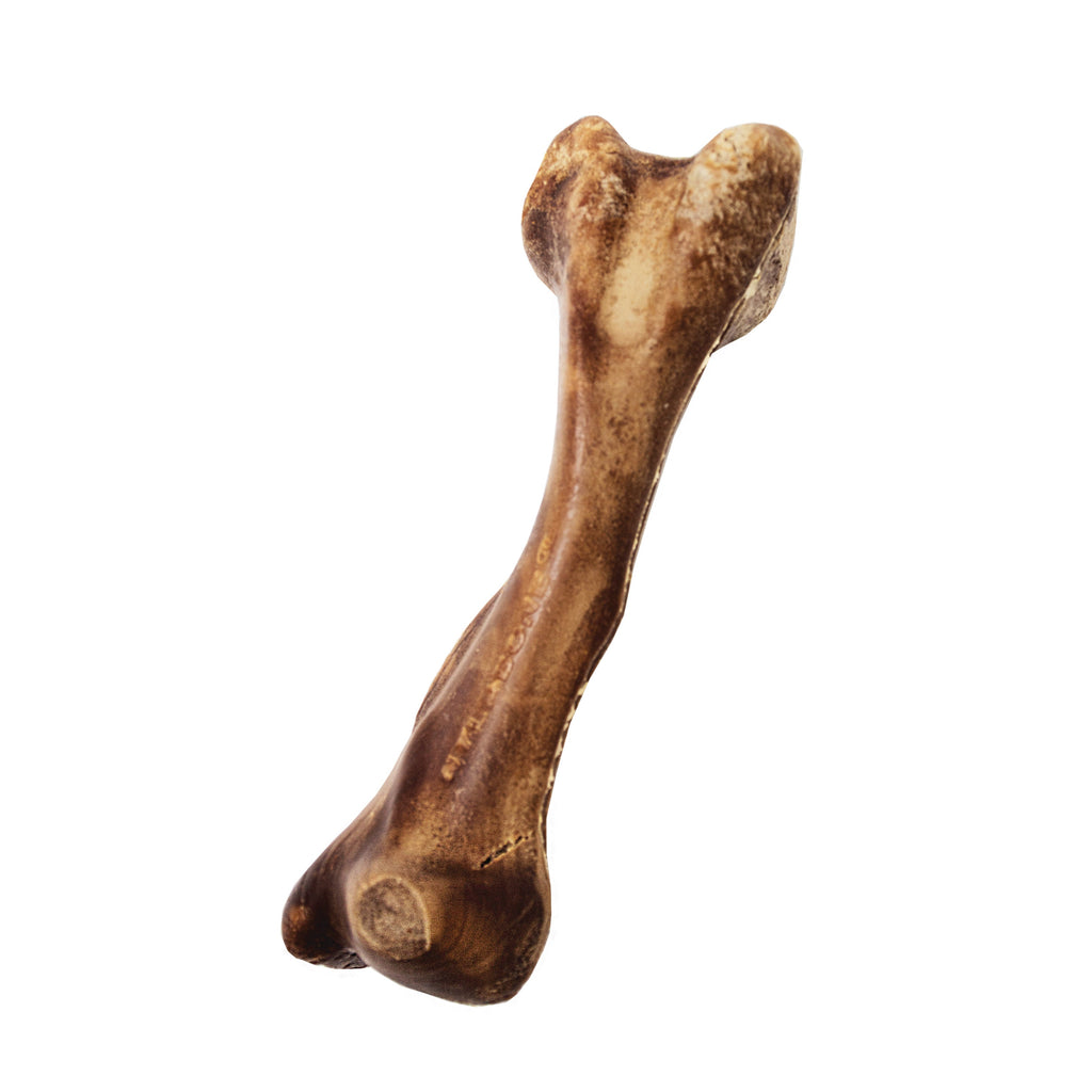 Nylabone Healthy Edibles WILD AllNatural Long Lasting Chew Treats Venison, 1ea/Large/Giant  Up To 50 Lbs. 1 ct