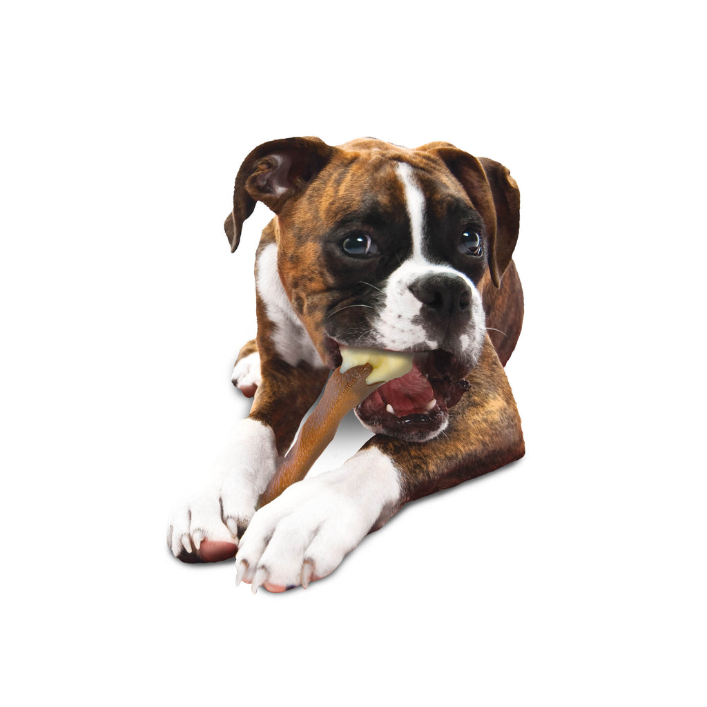 Nylabone Power Chew Femur Dog Bone Alternative Beef, 1ea/Large/Giant  Up To 50 Lbs. 1 ct