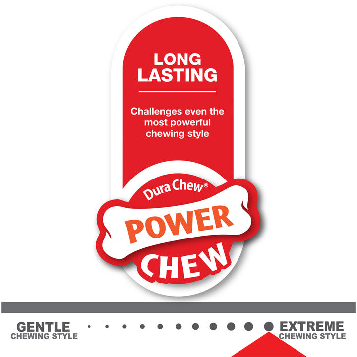 Nylabone Power Chew Femur Dog Bone Alternative Beef, 1ea/Large/Giant  Up To 50 Lbs. 1 ct