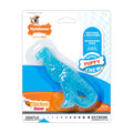 Nylabone Puppy Dental Dinosaur Chew Toy for Teething Puppies Chicken, 1ea/SMall/Regular  Up To 25 Ibs. 1 ct