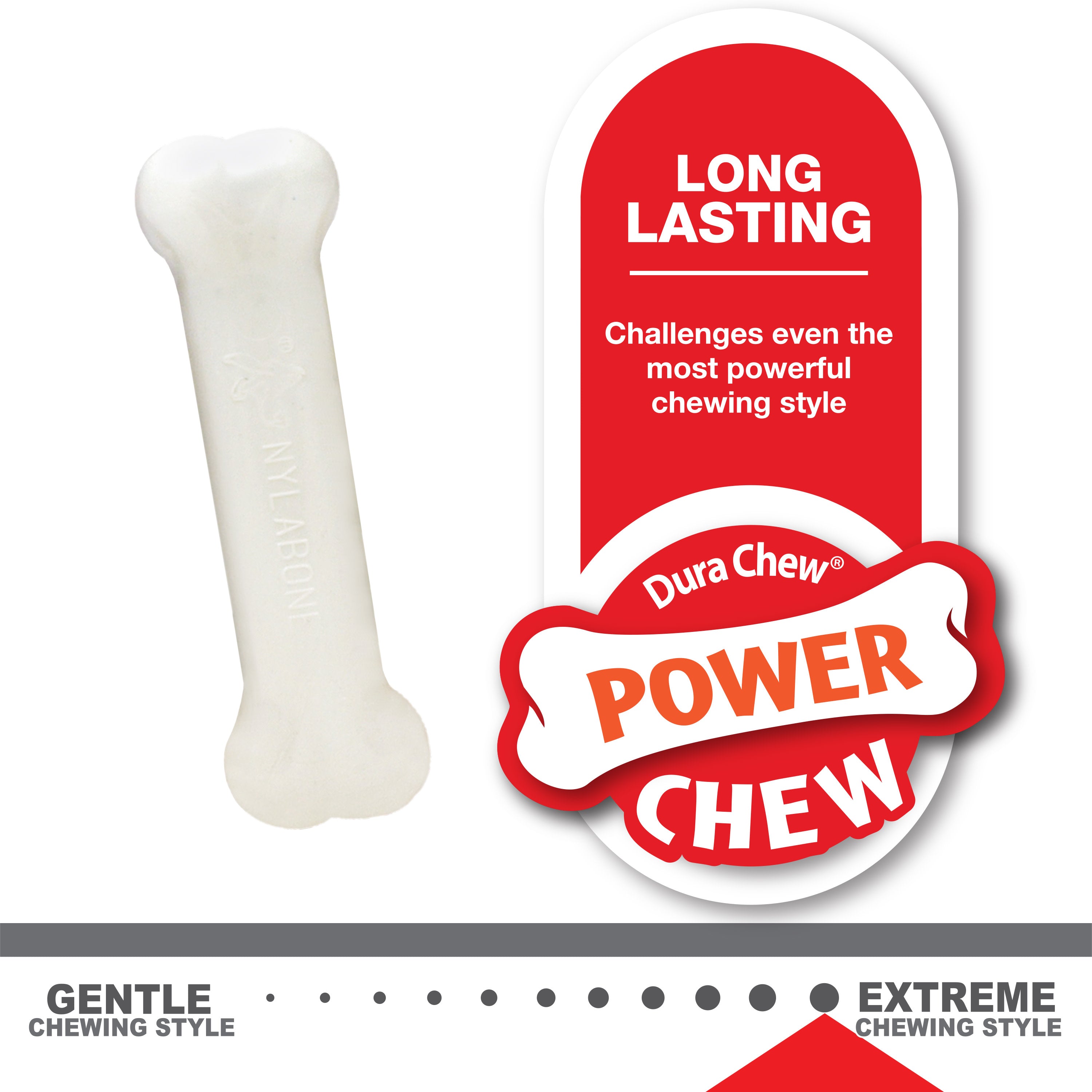 Nylabone Puppy Chew Variety Toy  Treat Triple Pack 3 count, 1ea/SMall/Regular  Up To 25 Ibs.