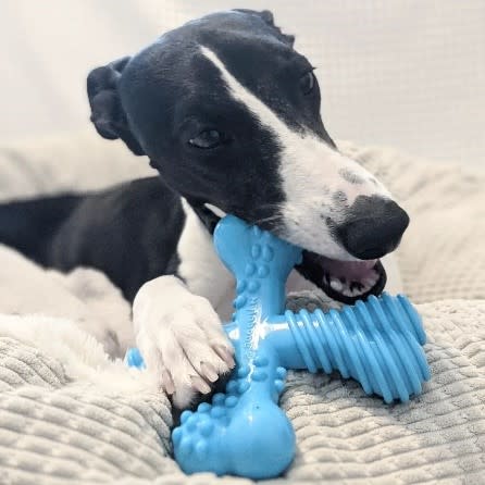 Nylabone Power Chew Comfort Hold X Bone Dog Toy Beef, 1ea/Large/Giant  Up To 50 Lbs. 1 ct
