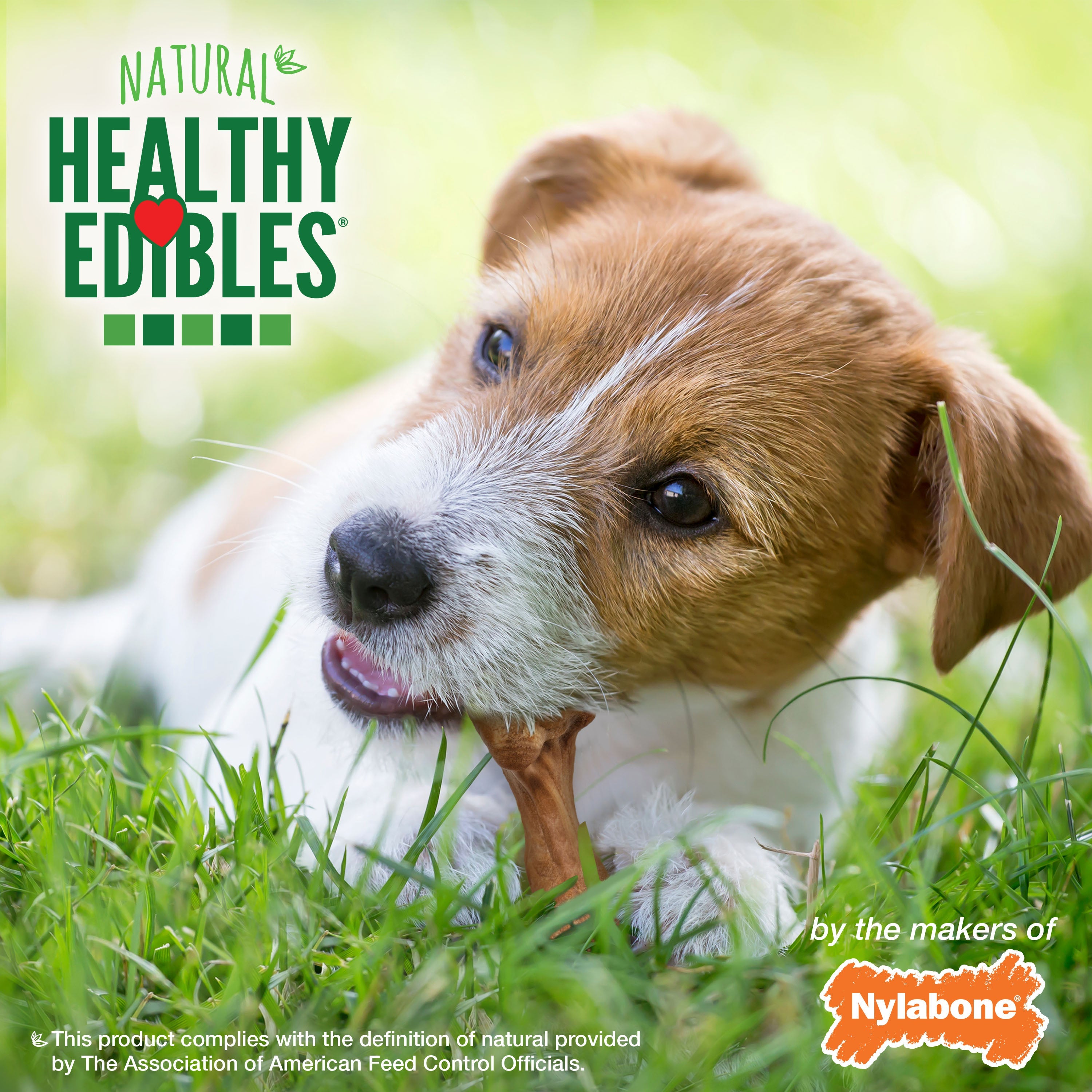 Nylabone Healthy Edibles WILD AllNatural Long Lasting Chew Treats Bison, 1ea/SMall/Regular  Up To 25 Ibs. 16 ct