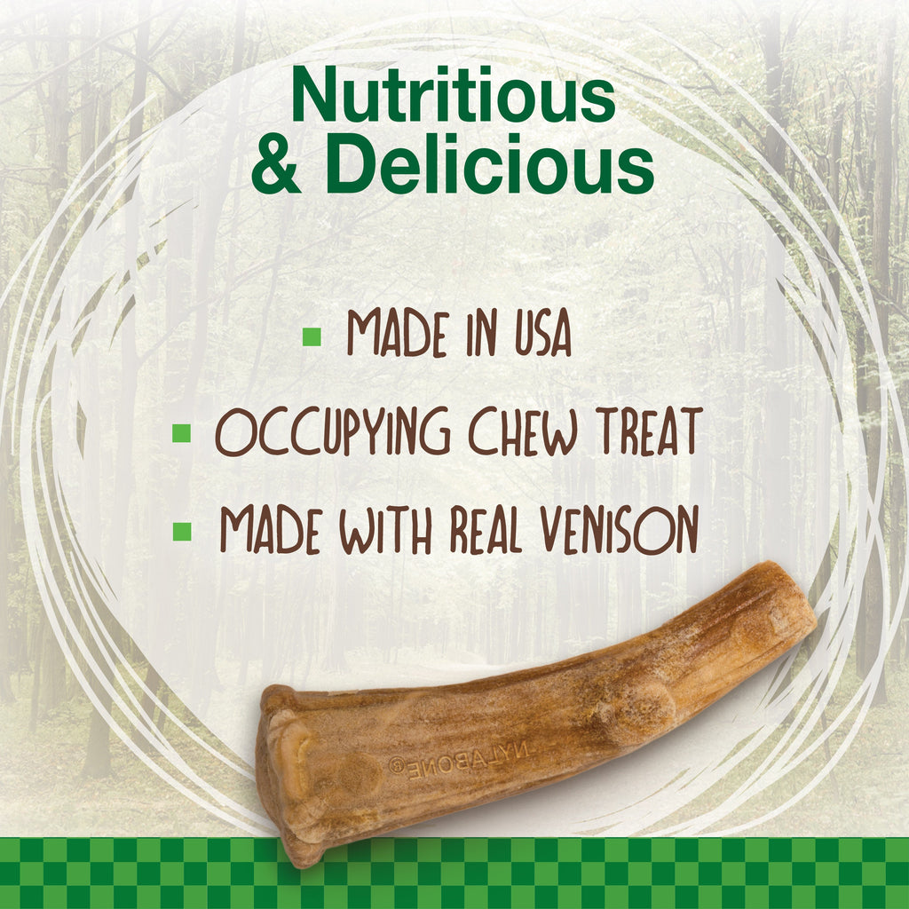 Nylabone Healthy Edibles WILD AllNatural Long Lasting Antler Chew Treats Venison, 1ea/Large/Giant  Up To 50 Lbs. 2 ct