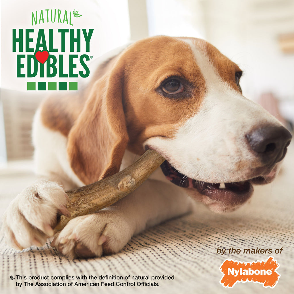 Nylabone Healthy Edibles WILD AllNatural Long Lasting Antler Chew Treats Venison, 1ea/Large/Giant  Up To 50 Lbs. 2 ct