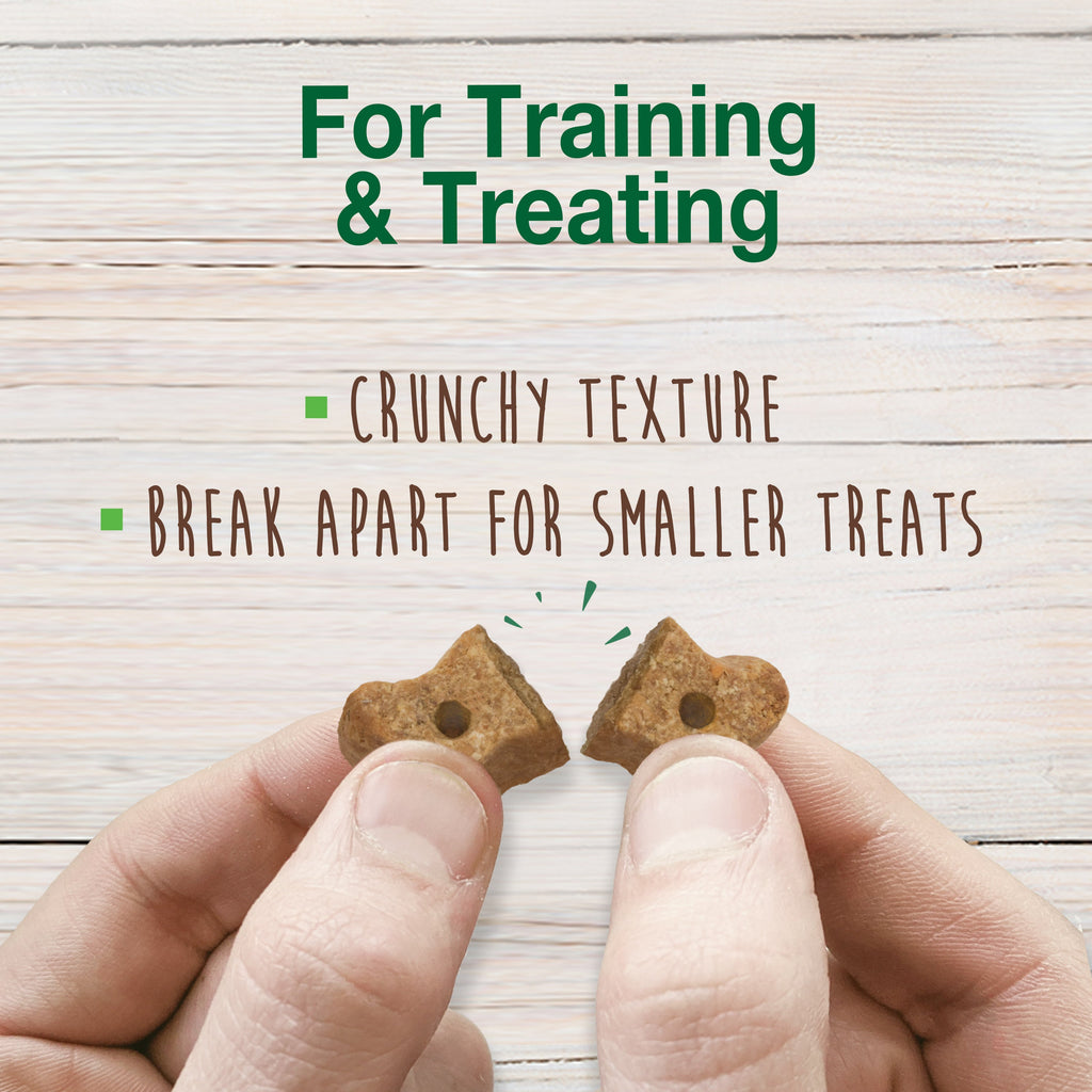 Nylabone Healthy Edibles Biscuits Grain Free Dog Treats Peanut Butter & Apple 1ea/12 oz