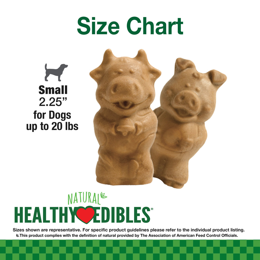 Nylabone Healthy Edibles AllNatural Long Lasting Puppy Chew Treats Lamb  Apple, 1ea/SMall/Regular  Up To 25 Ibs. 4 ct