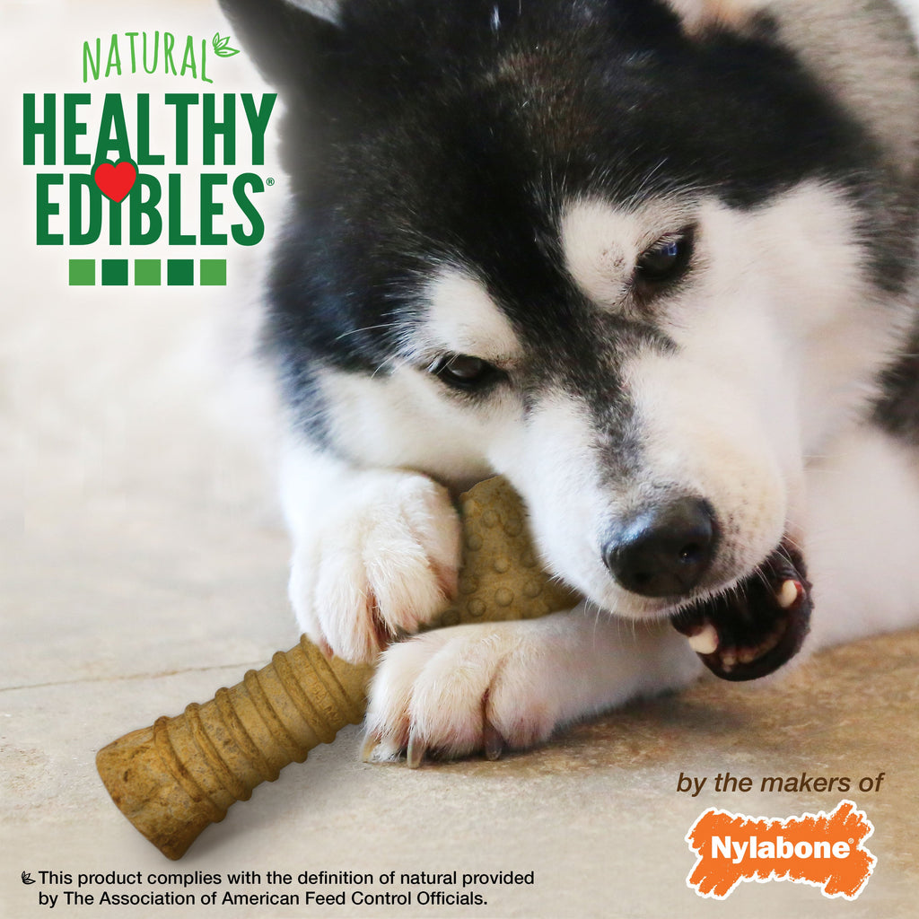 Nylabone Healthy Edibles AllNatural Long Lasting Chew Treats 1 Count, Peanut Butter, 1ea/XL/Souper  50 Lbs. 1 ct