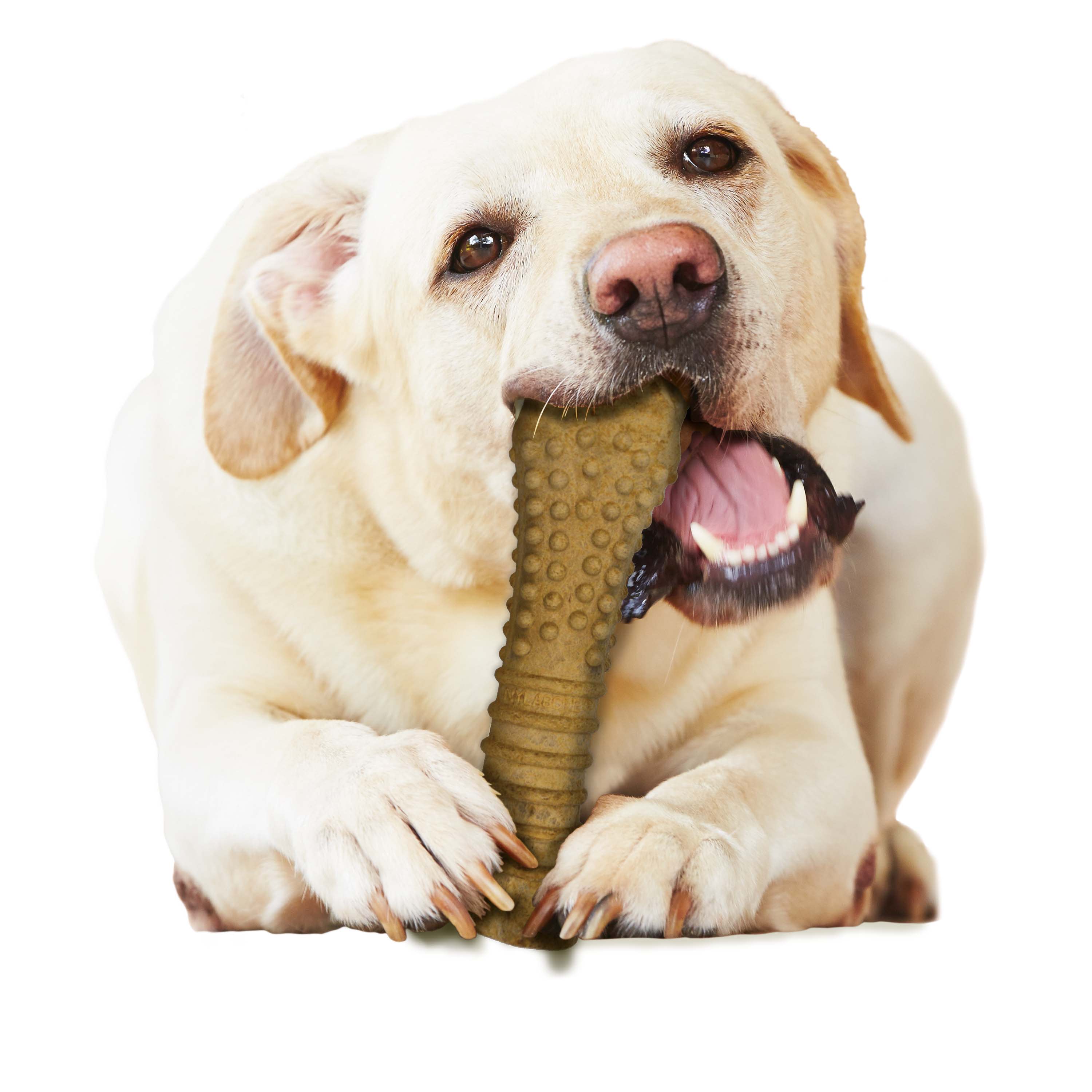 Nylabone Healthy Edibles AllNatural Long Lasting Chew Treats 1 Count, Peanut Butter, 1ea/XL/Souper  50 Lbs. 1 ct
