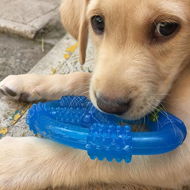 Nylabone Puppy Chew Spin Tug  Play Toy Peanut Butter, Blue, 1ea/Medium/Wolf  Up To 35 Lbs. 1 ct