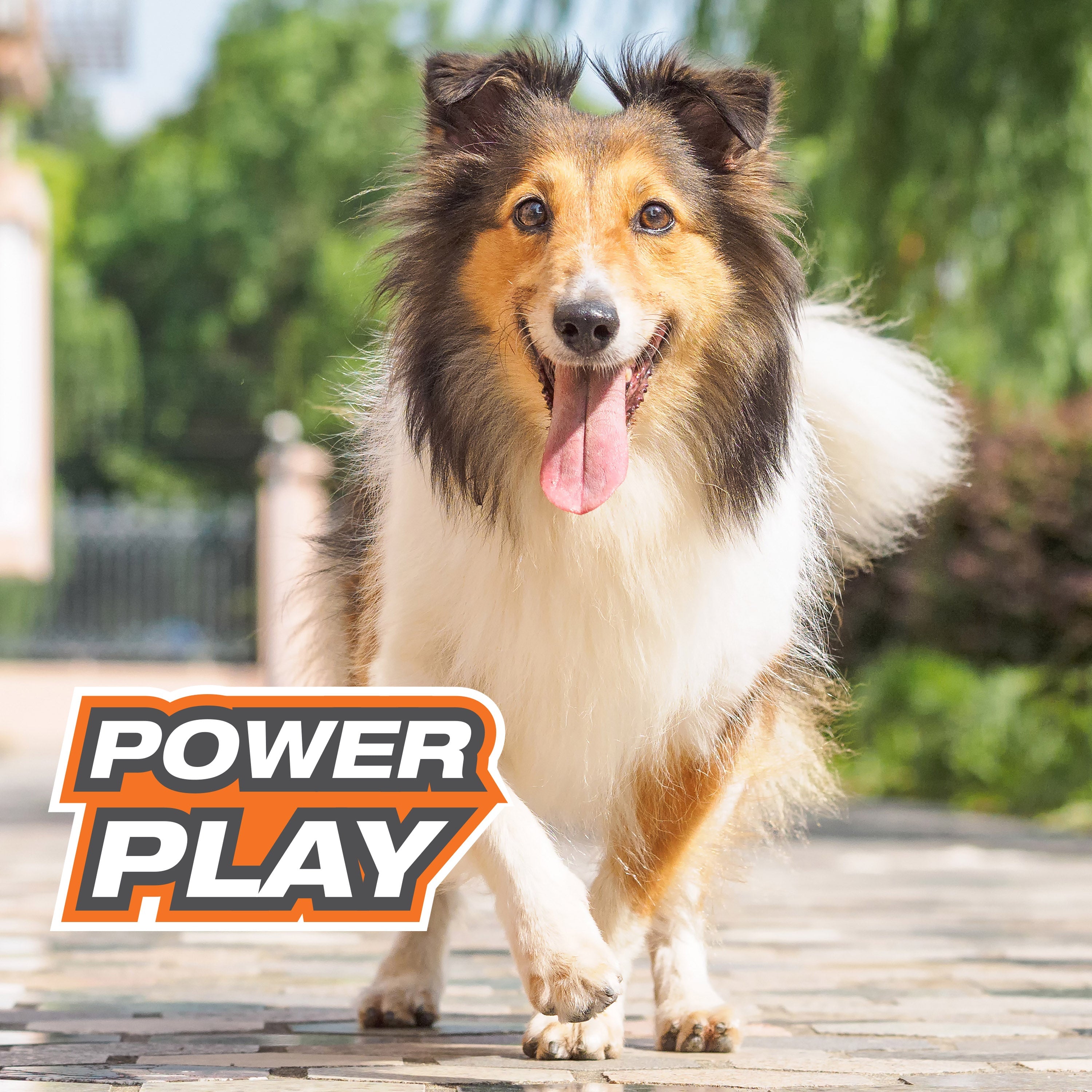 Nylabone Power Play Dog Football Gripz 1ea/Medium/Wolf  Up To 35 Lbs. 5.5 in 1 ct