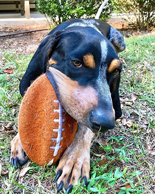 Nylabone Power Play Dog Football Gripz 1ea/Large/Giant  Up To 50 Lbs. 8.5 in 1 ct